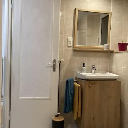 Le Berger Du Salzbach * Romanswiller