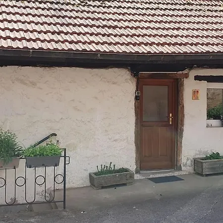 Le Berger Du Salzbach Romanswiller